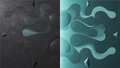 Void & Tide biomorphic abstract artwork with graphite-black, mint and teal divided fields